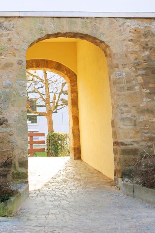 Alte Stadtmauer - Apartment سينشيم المظهر الخارجي الصورة