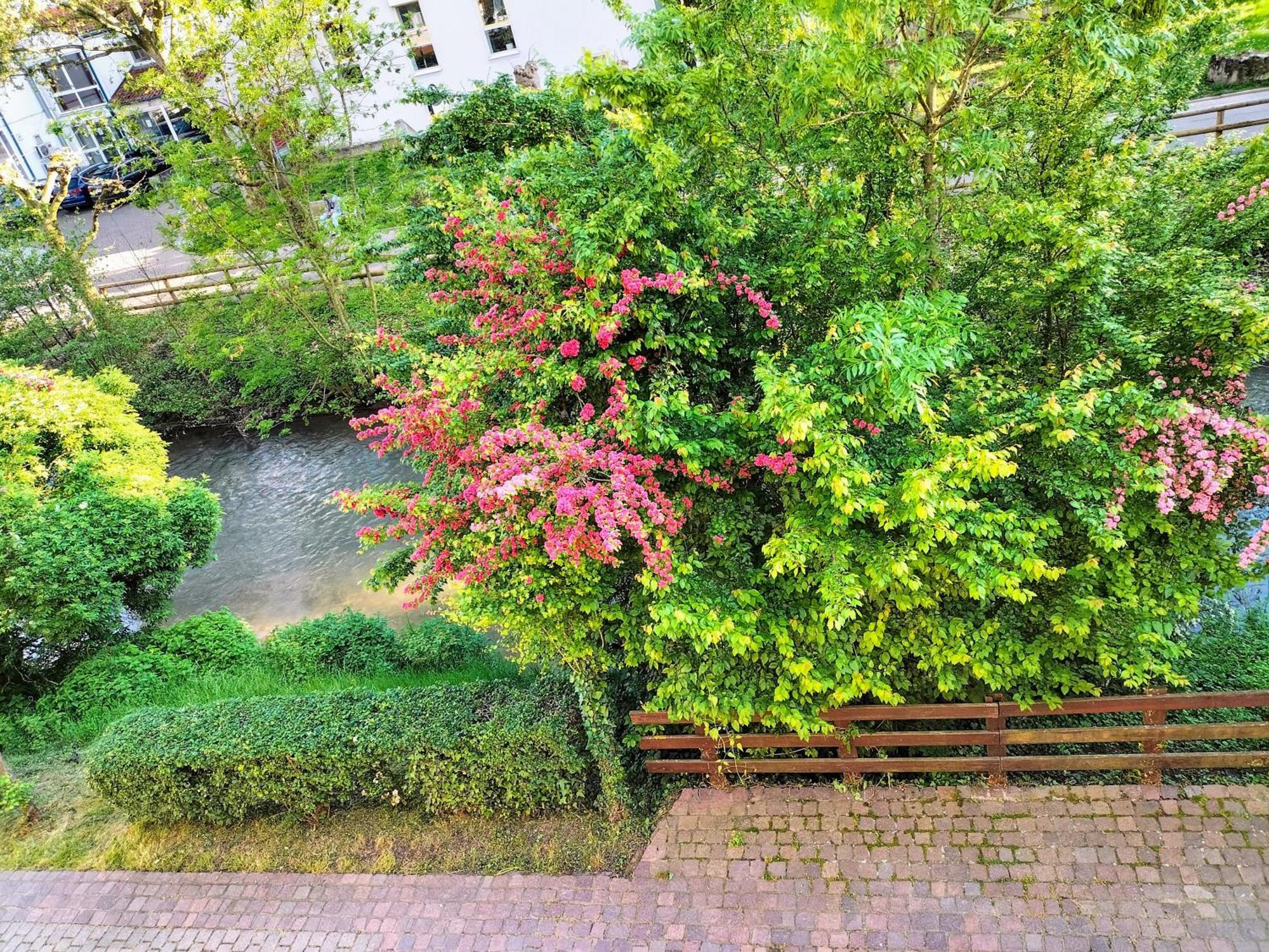 Alte Stadtmauer - Apartment سينشيم المظهر الخارجي الصورة